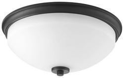 60W 2-Light Medium E-26 Base Incandescent Flushmount Ceiling Fixture in Black