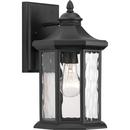 Progress Lighting Black 1-Light 100W 13 in. Outdoor Wall Sconce with Water Glass Shade 