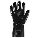 Size 10 Neoprene Glove