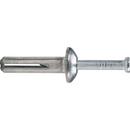 DEWALT Anchors & Fasteners Silver 1/4 in. Nail Anchor Alloy and Carbon Steel 