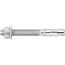 DEWALT Anchors & Fasteners Silver 1/4 in. Wedge Expansion Anchor Zinc Plated Carbon Steel 