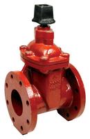 8 in. Ductile Iron Resilient Wedge Gate Valve with Stainless Steel Nut