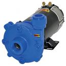 1 hp 56 gpm 12V Cast Iron and Cast Stainless Steel Washdown Pump