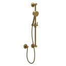 Single Function Hand Shower in French Brass