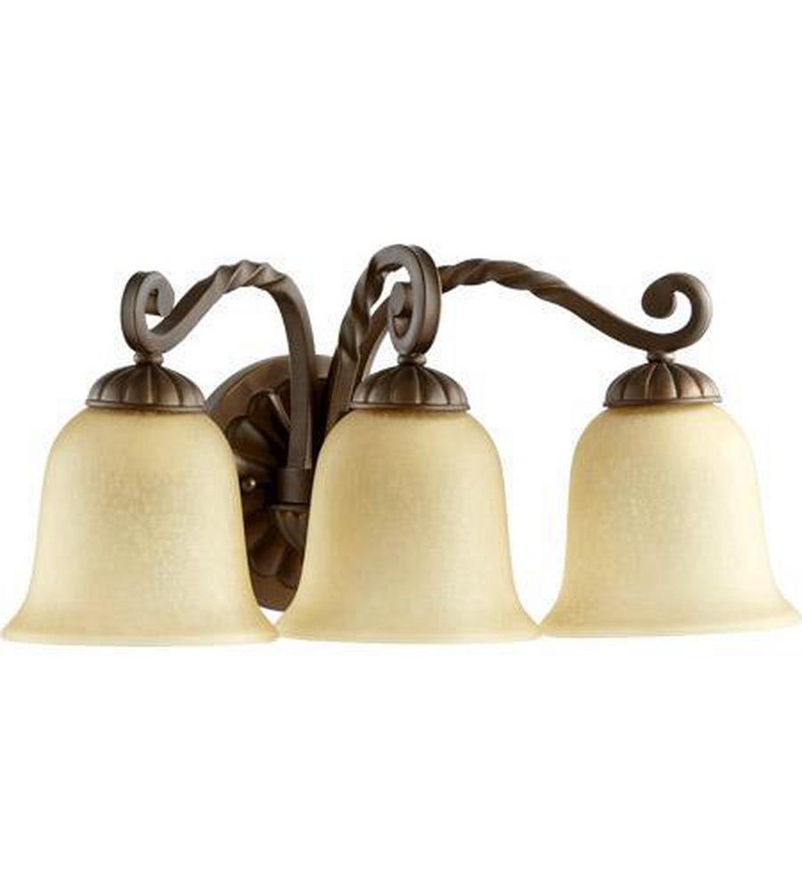 Quorum International Oiled Bronze 3-Light 100W Vanity Fixture 