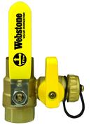 1/2 in. Forged Brass Full Port Sweat x IPS 600# Ball Valve