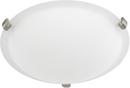 60W 2-Light Medium E-26 Base Incandescent Ceiling Fixture in Soft White