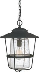 1-Light Hanging Lantern in Black