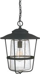 Capital Lighting Black 1-Light Hanging Lantern 