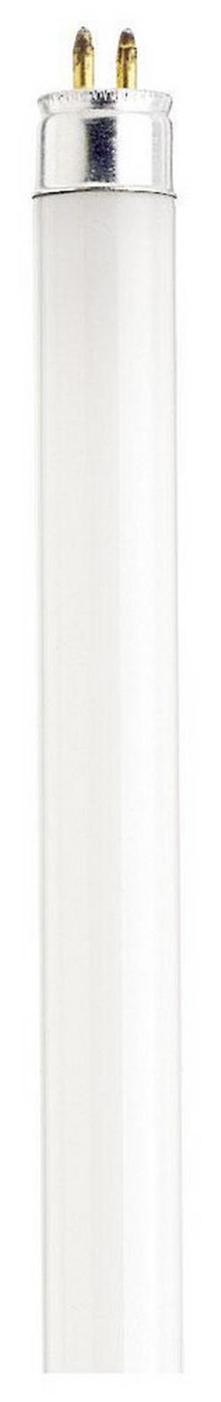 21 in. T5 Fluorescent Light Bulb with a Mini Bi-Pin Base in Cool White (Pack of 10)