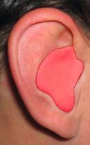 Radians Red Plastic Reusable Ear Plugs 
