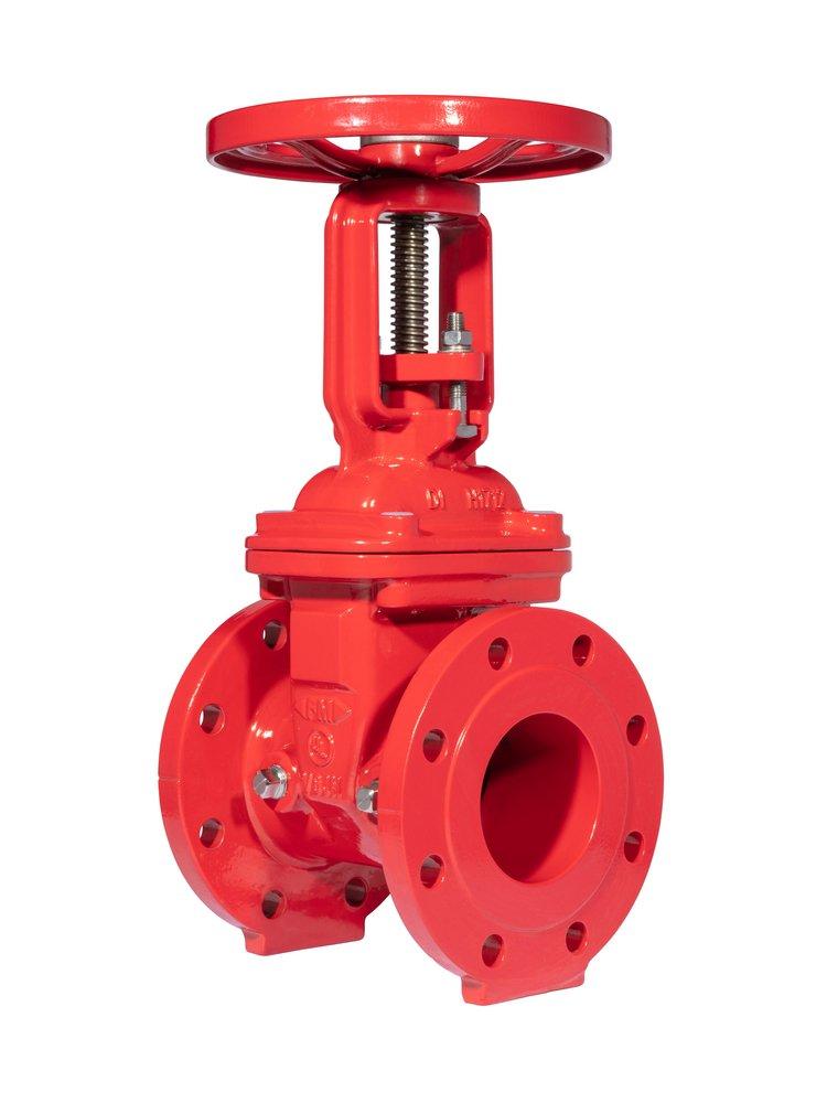 Tyco Flanged x Grooved Ductile Iron OS&Y Non-Rising Resilient Wedge Gate Valve 