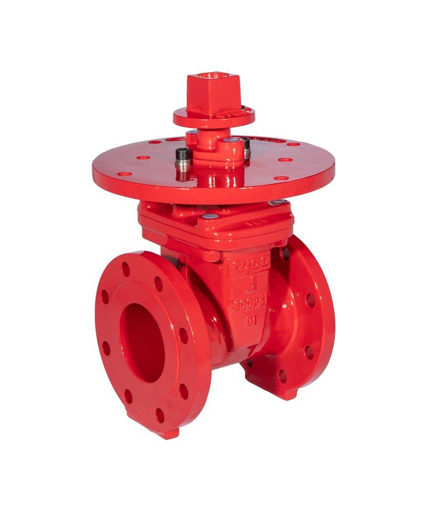 Tyco Ductile Iron Flanged Gate Valve 
