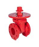 Tyco Ductile Iron Flanged Gate Valve 