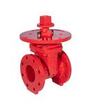 8 in. Ductile Iron Flanged Gate Valve