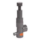 2 in. PVC Pressure Release Valve