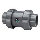 Threaded Check Valve FPM Seal 4 in.