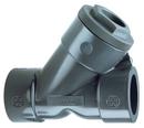 2 in. Plastic Threaded Check Valve