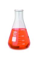 VEE GEE Scientific Erlenmeyer Flask 