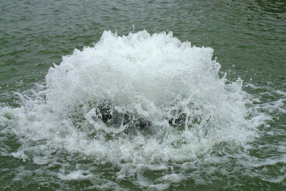 Surface Aerator with 150 ft. Cord 