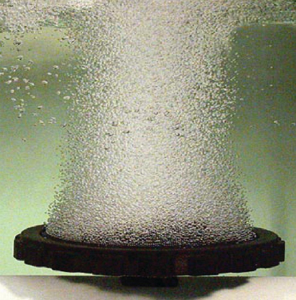 Environmental Dynamics MNPT High Capacity Diffuser 