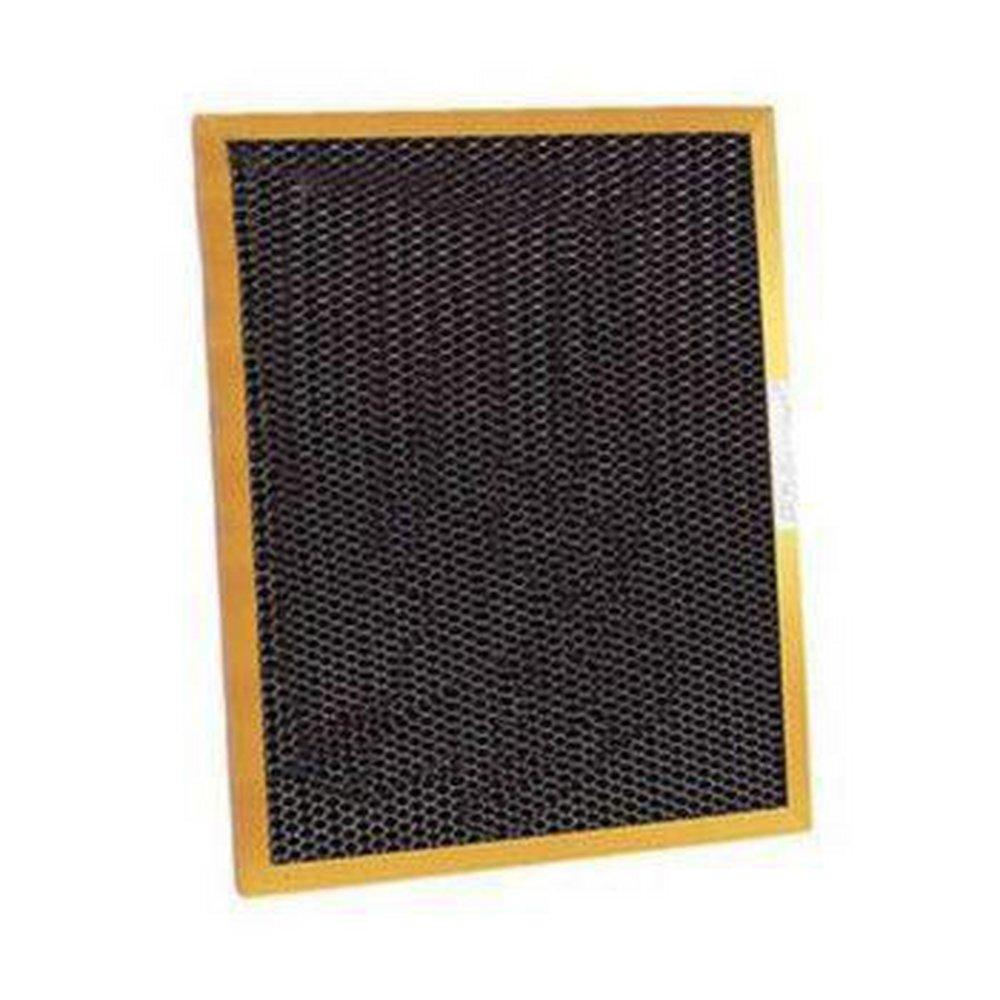 Dust Free 20 x 25 in. Air Filter 