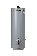 40 gal. Tall 32 MBH Mobile Home Residential Natural Gas Water Heater