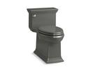 1.28 gpf Elongated One Piece Toilet in Thunder&#8482; Grey