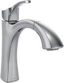 Single Handle Pull Out Kitchen with Power Clean and Refelx Technology Faucet in Chrome