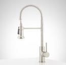 Signature Hardware Stainless Steel Single Handle Pull Out Kitchen Faucet 