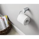 Cleveland Faucet Group Chrome Wall Mount Toilet Tissue Holder 