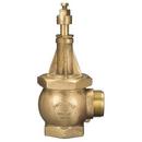 Wharf FNPT x MNST 4 x 2-1/2 in. Assembled Fire Hydrant