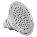 American Standard Polished Chrome Single Function Showerhead 