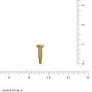 American Standard Brass Screw 
