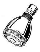 American Standard Chrome Shower Head 