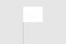 21 x 4 x 5 in. Plastic and Wire Marking Flag in White (Pack of 100)