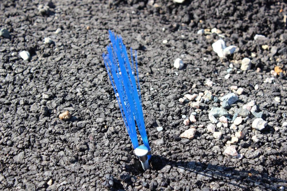 Presco Blue Mark Whisker 