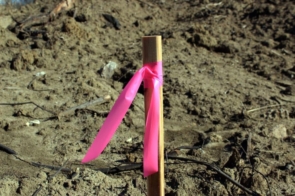 Presco Pink Glo 150 ft. Marking Tape 