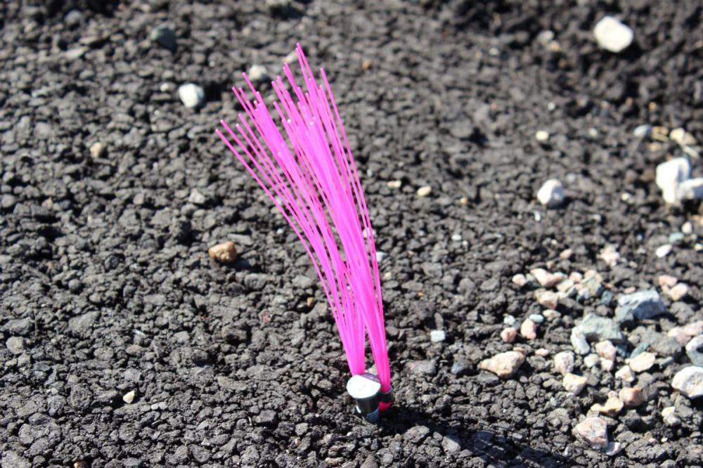 Presco Pink Marking Whisker (Pack of 25) 