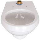 Zurn White Elongated Toilet Bowl 