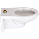 Zurn White Elongated Toilet Bowl 