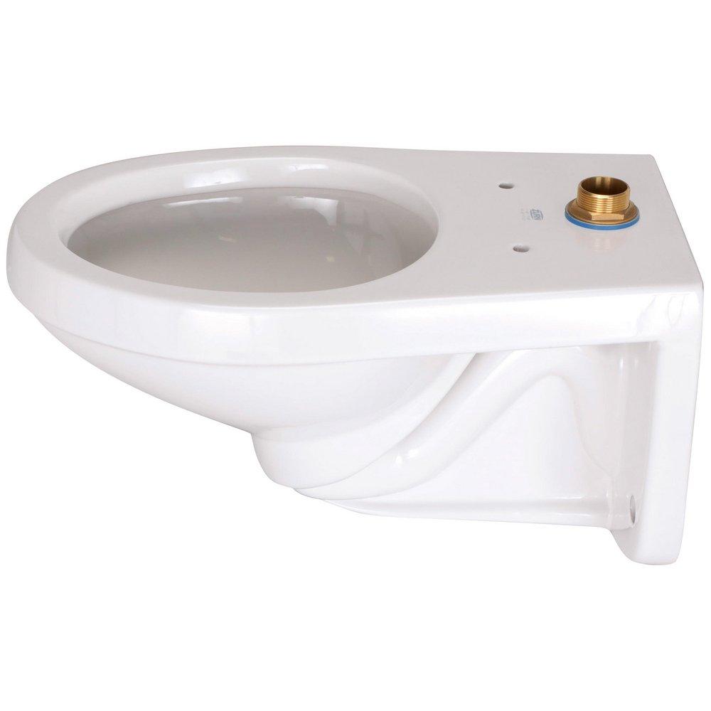 Zurn White Elongated Toilet Bowl 