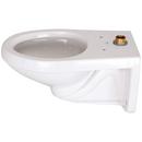 Zurn White Elongated Toilet Bowl 