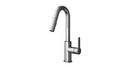 1-Hole Pull-Out Kitchen Faucet with Single Lever Handle in Polished Chrome
