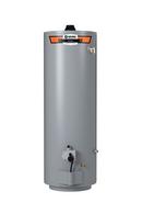 50 gal. Tall 40 MBH Low NOx Direct Vent Natural Gas Water Heater