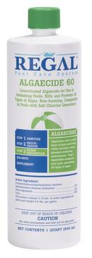 32 oz. Algaecide 60  for Pools