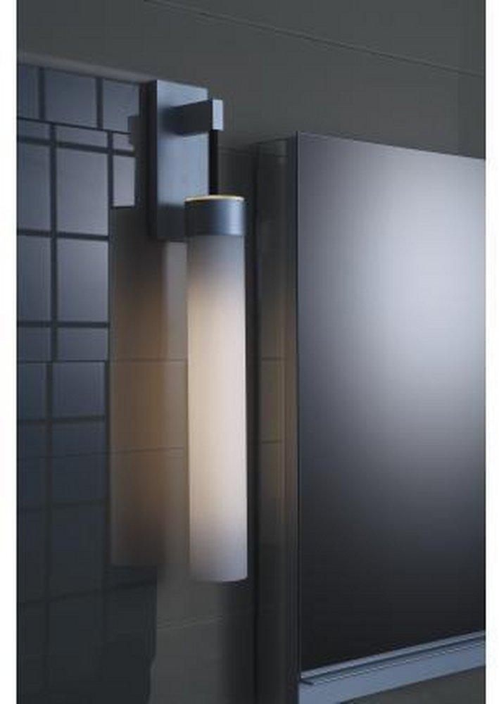 Robern Brushed Nickel 24W 1-Light Fluorescent Vanity Fixture 