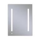 Robern Satin Anodized Aluminum 30 in. Surface Mount and Recessed Mount Medicine Cabinet 