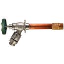 8 in. Brass 1/2 x 3/4 in. FIPS and MIPS x GHT Wall Hydrant