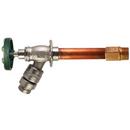 Champion-Arrowhead Brass Brass 1/2 x 3/4 in. FIPS and MIPS x GHT Wall Hydrant 